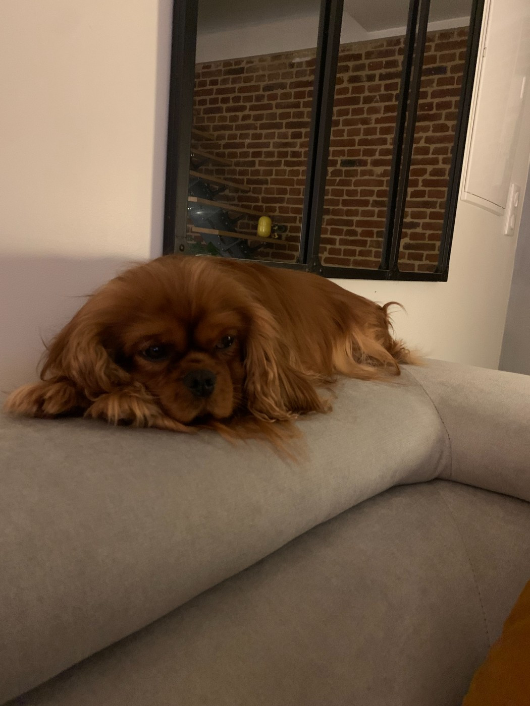 Turquoise D'un Souvenir Fauve